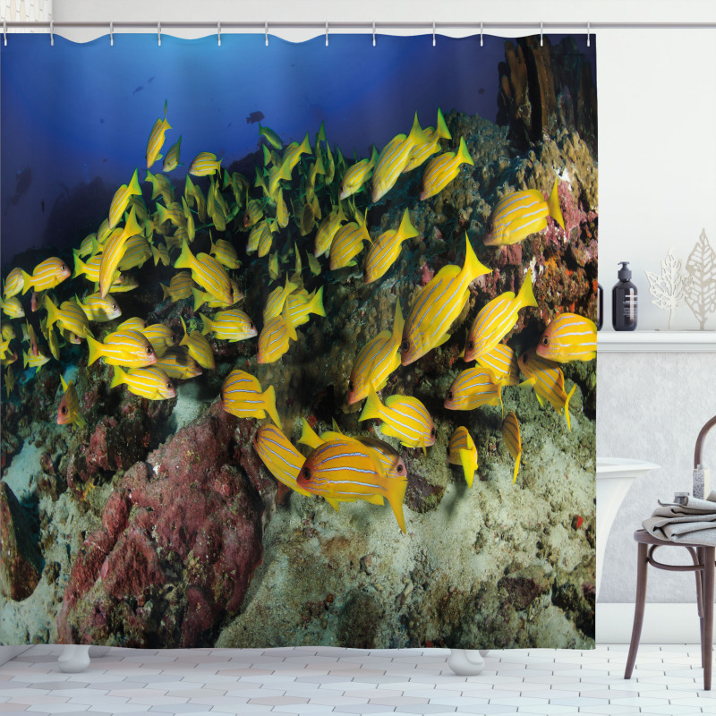 Tropical Fish Coral Reef Shower Curtain