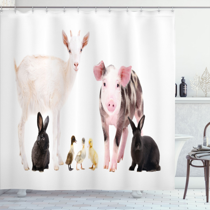 Ducks Pig Goat Bunnies Shower Curtain