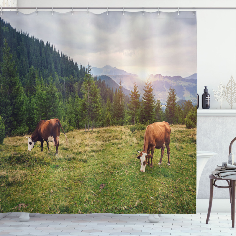 Cows Grazing in Meadow Shower Curtain