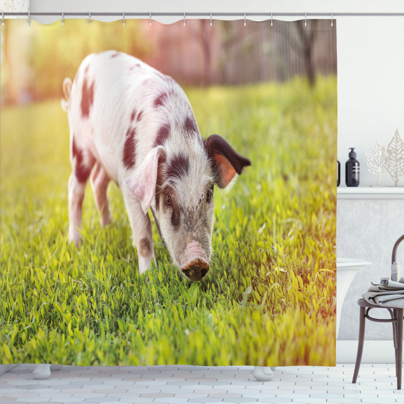 Baby Pig with Spots Shower Curtain