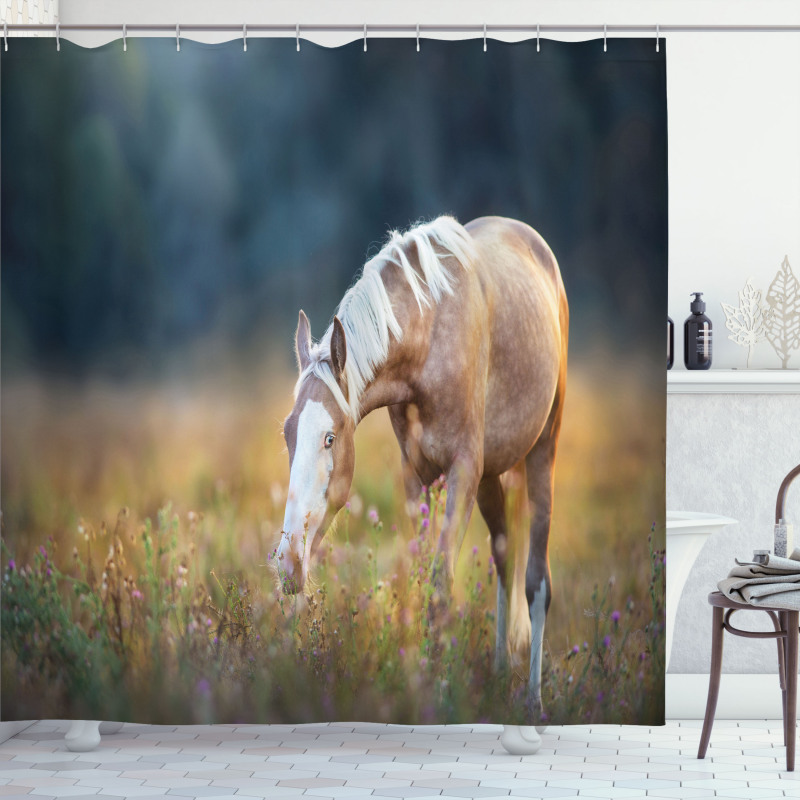 Palomino Horse Grazing Shower Curtain