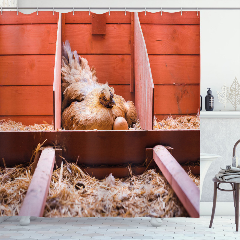 Hen in Cage with Eggs Shower Curtain