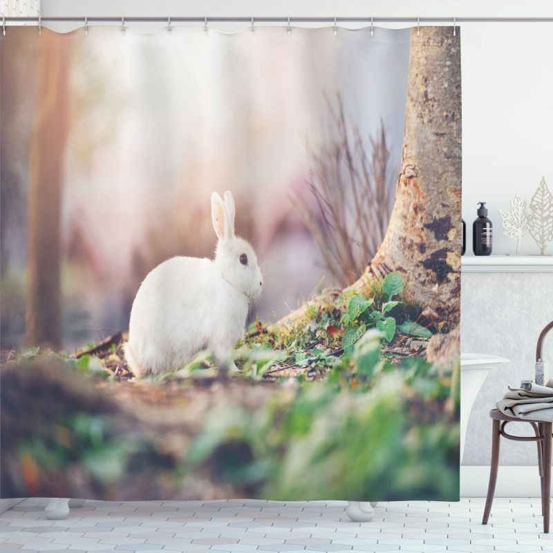 Spring Rabbit Forest Shower Curtain