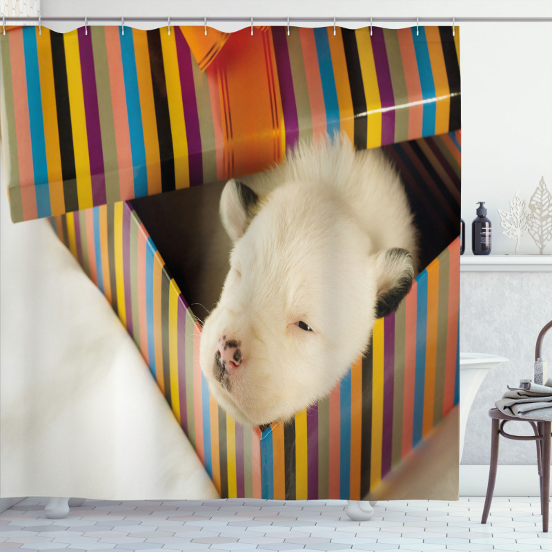 Newborn Dog in Gift Box Photo Shower Curtain