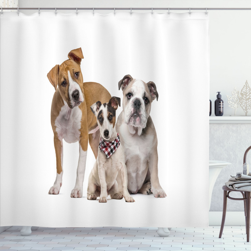 Funny Various Breeds of Dogs Shower Curtain