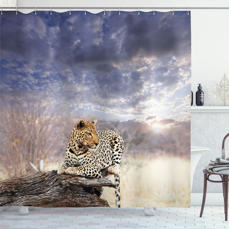 Cloudscape Sunset Scene Shower Curtain