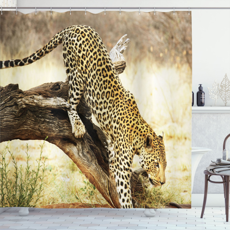 Leopard Wild Cat on Tree Shower Curtain
