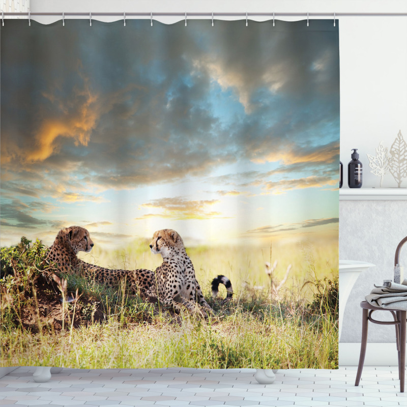 Dangerous Cheetahs in Africa Shower Curtain