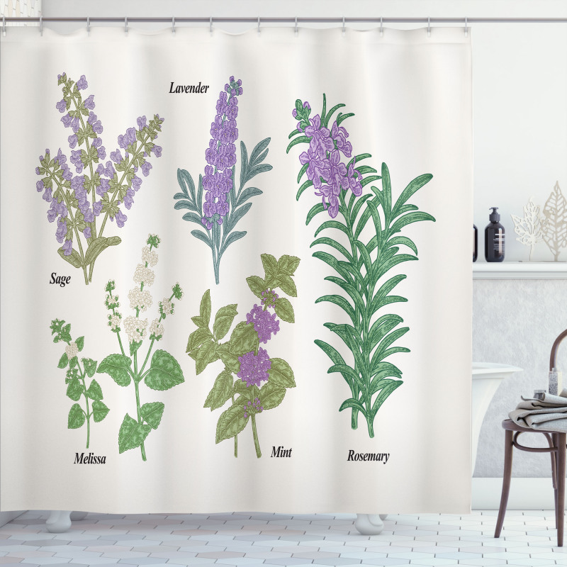 Botanical Infographic Plants Shower Curtain