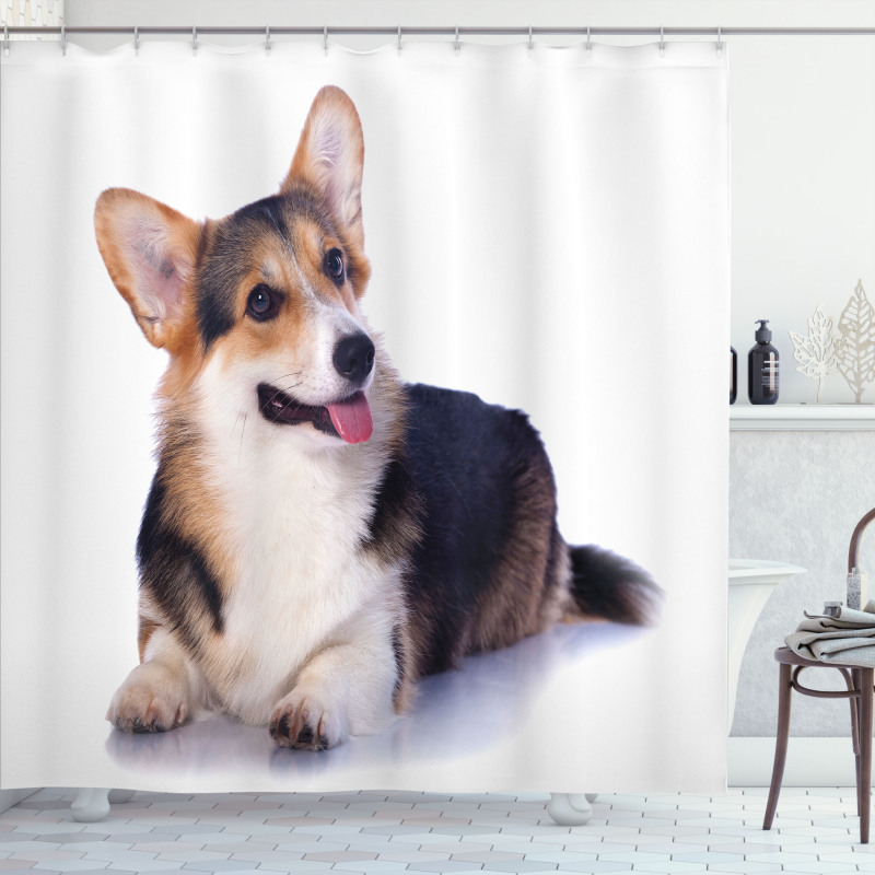 Pembroke Welsh Dog Lover Art Shower Curtain