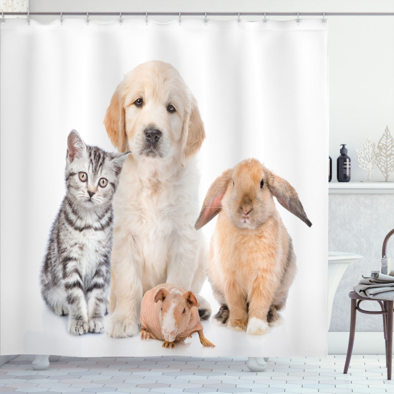 Bunny Piglet Staring Shower Curtain