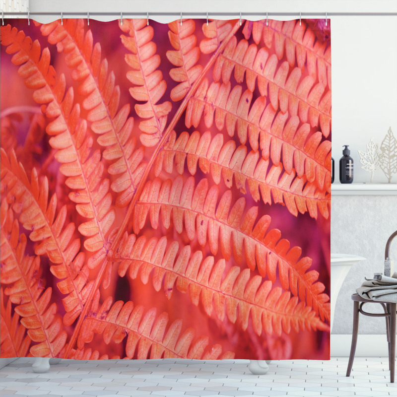 Close up Fern Leaf Shower Curtain