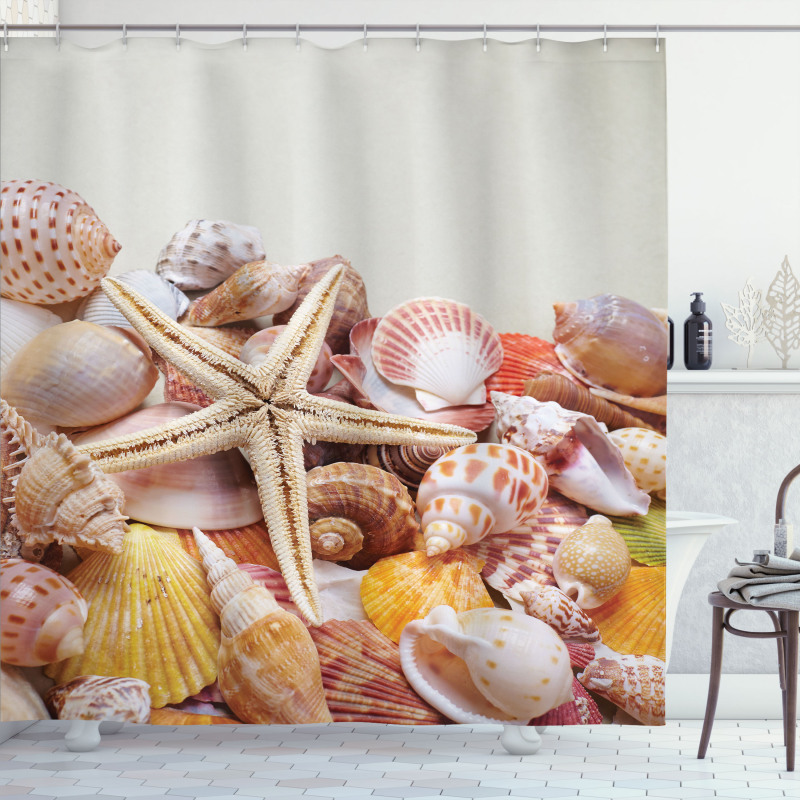 Pile of Seashells Beach Shower Curtain