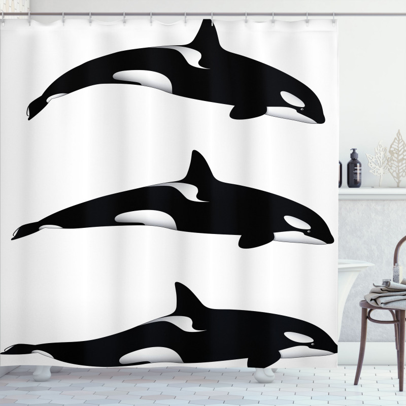 Orca Killer Whales Shower Curtain