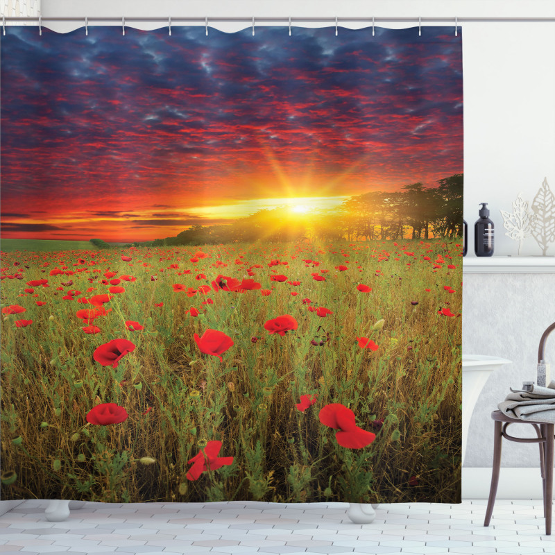 Meadow Poppies Sky Shower Curtain