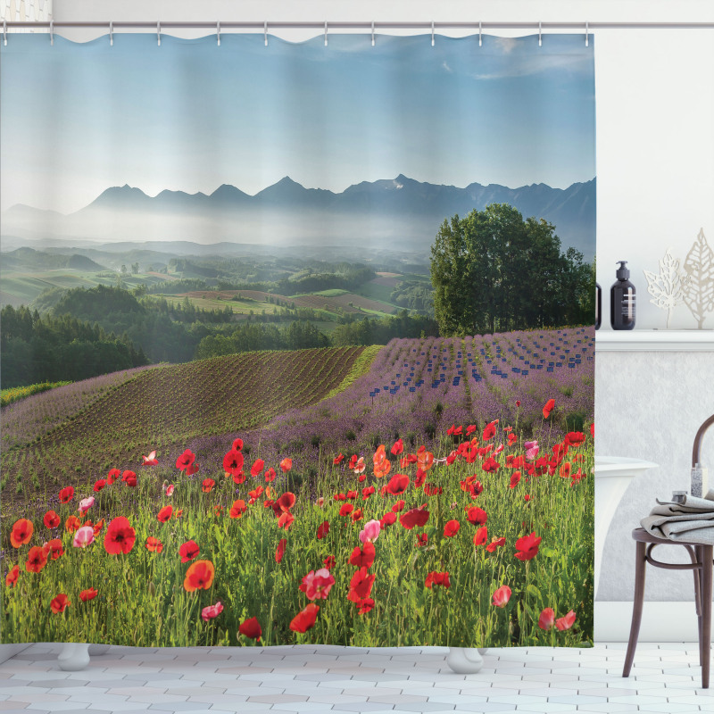 Lavender Farm Morning Shower Curtain