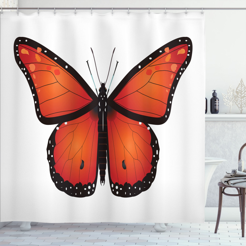 Big Monarch Breed Moth Shower Curtain