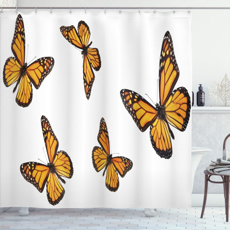 Gracious Winged Insect Shower Curtain