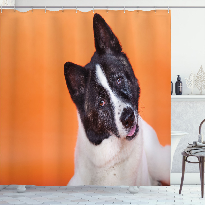 Akita on Orange Shower Curtain