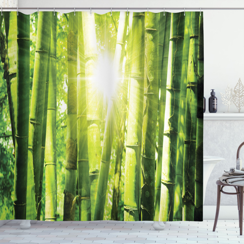 Sun Beams in Wild Jungle Shower Curtain