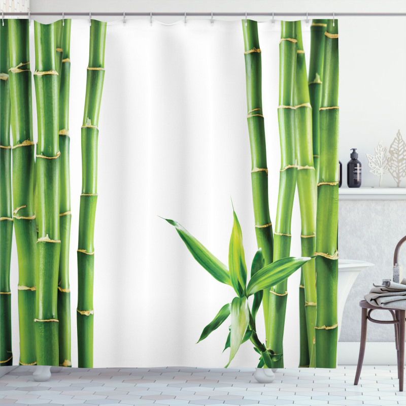 Branches of Bamboo Plant Shower Curtain