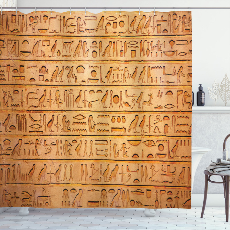 Hieroglyphs Composition Shower Curtain