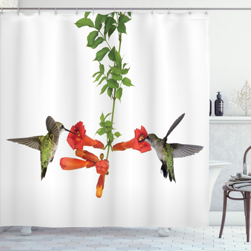 Hummingbird Nectar Sip Shower Curtain