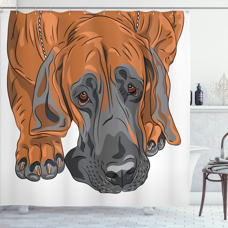 Sad Looking Dog Cartoon Shower Curtain