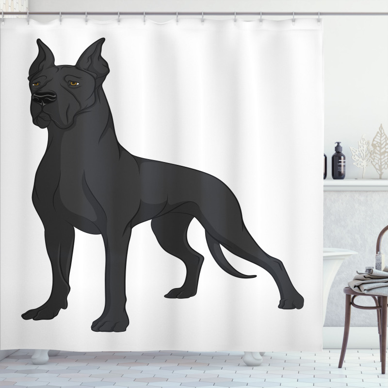 Purebred Dog on Plain Shower Curtain