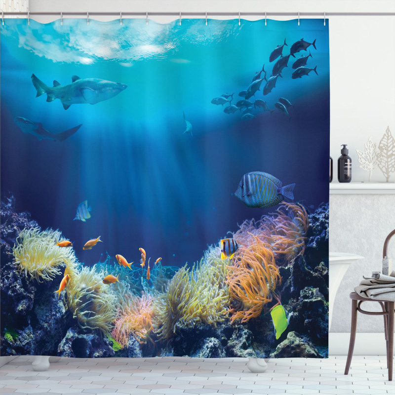 Various Fish Nautical Shower Curtain