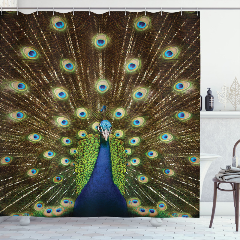 Peacock with Feathers Shower Curtain
