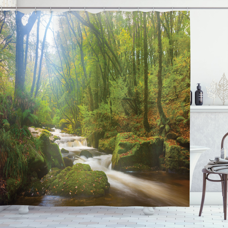 Forest at Golitha Falls Shower Curtain
