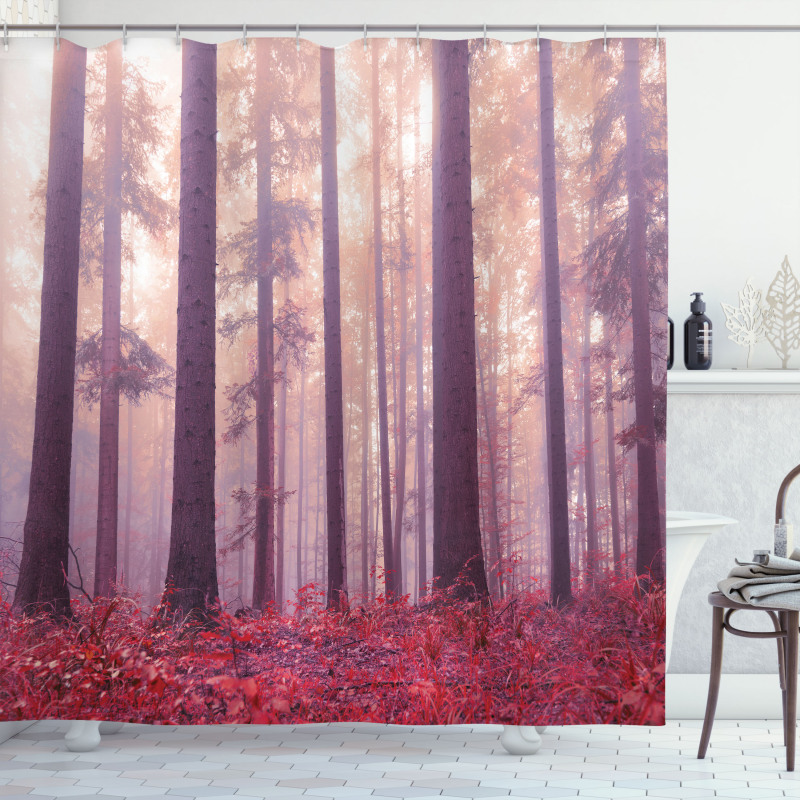 Trees Foggy Sunlight Shower Curtain