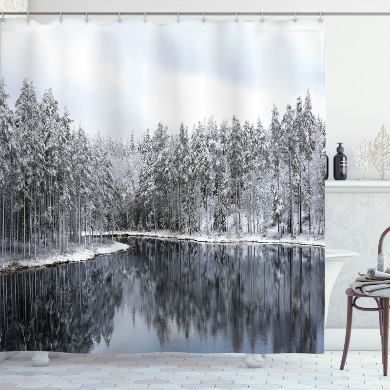 Trees in Cold Day Lake Shower Curtain