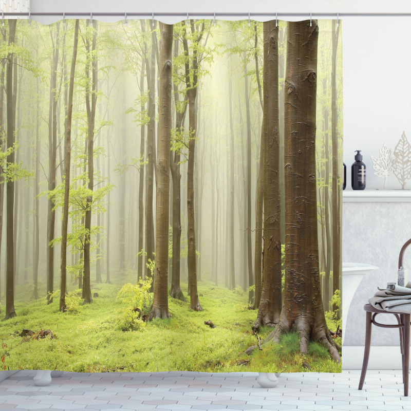 Misty Beech Forest Photo Shower Curtain