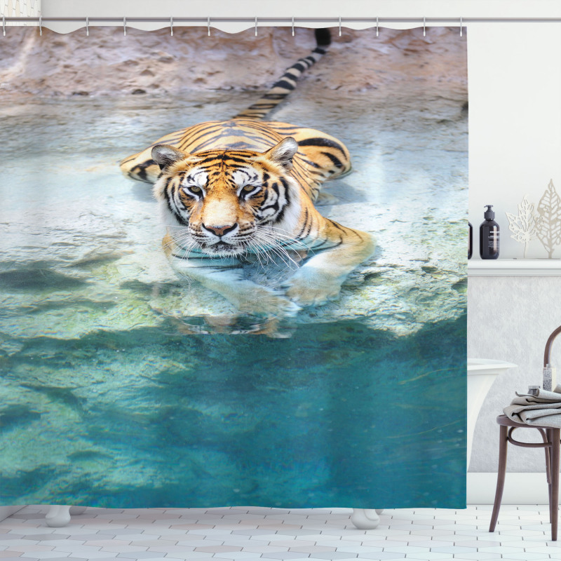Bengal Tiger in Wild Shower Curtain