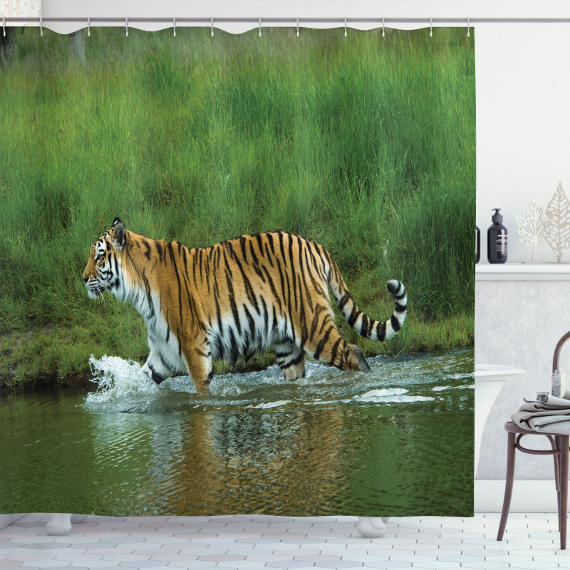 Siberian Tiger Panthera Shower Curtain