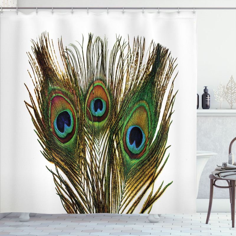 Close up Peacock Feather Shower Curtain