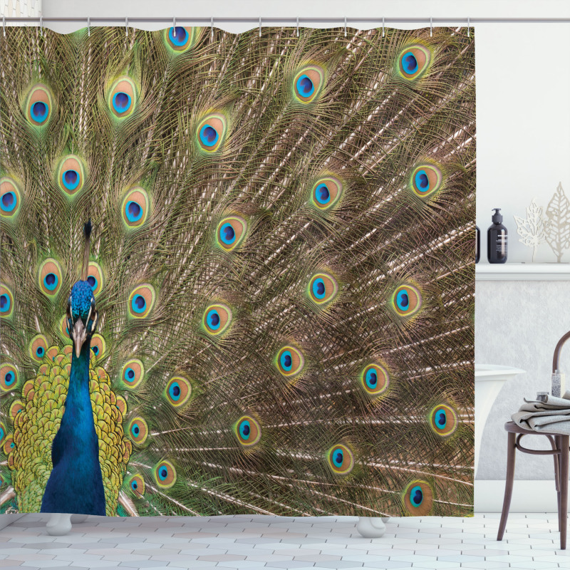 Peacock Making the Wheel Shower Curtain