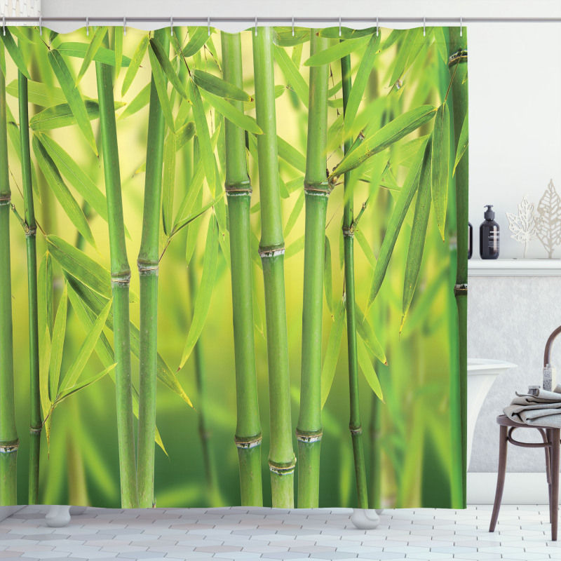 Bamboo Sprout Stem Forest Shower Curtain