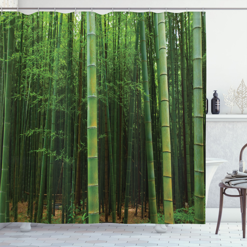 Exotic Bamboo Tree Forest Shower Curtain