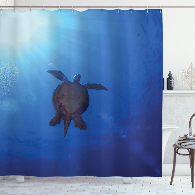 Sea Turtle in Deep Sea Shower Curtain