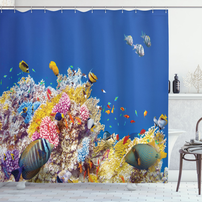 Tropical Corals Fish Shower Curtain