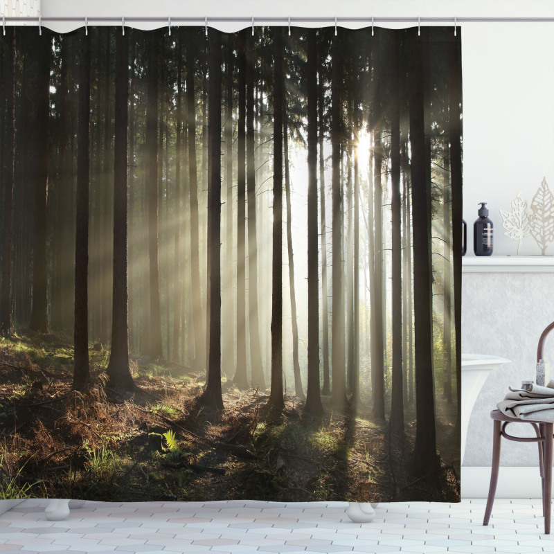 Morning Forest Scenery Shower Curtain