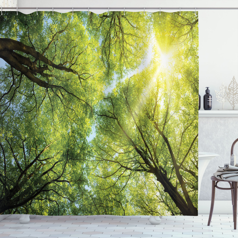 Romantic Beech Trees Shower Curtain