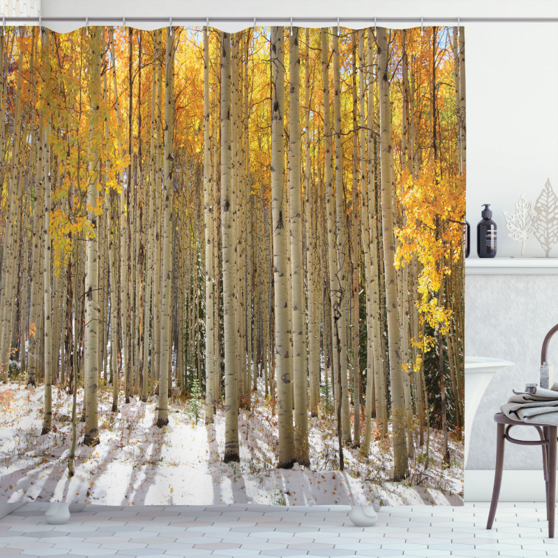 Aspen Tree Woods Scenery Shower Curtain