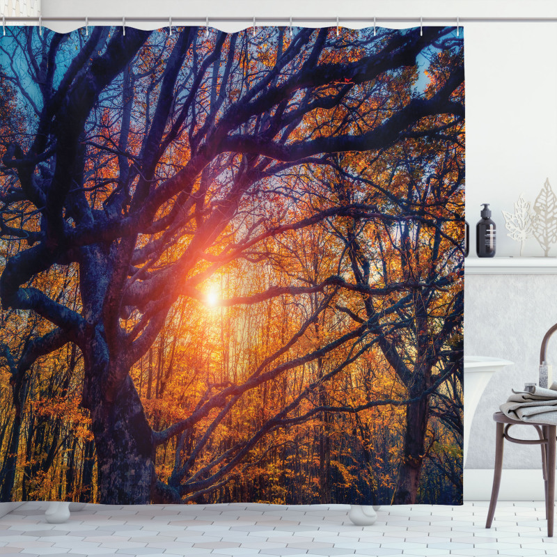 Majestic Trees Woods Shower Curtain