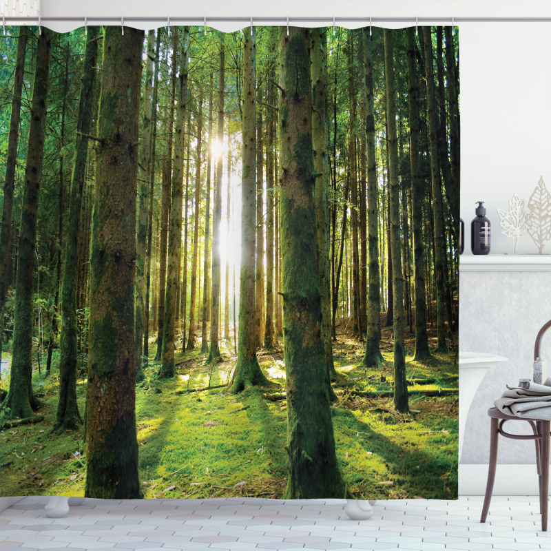 Sunny Day in the Forest Shower Curtain