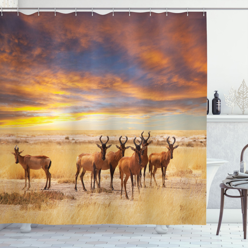 Tropical Animal Shower Curtain