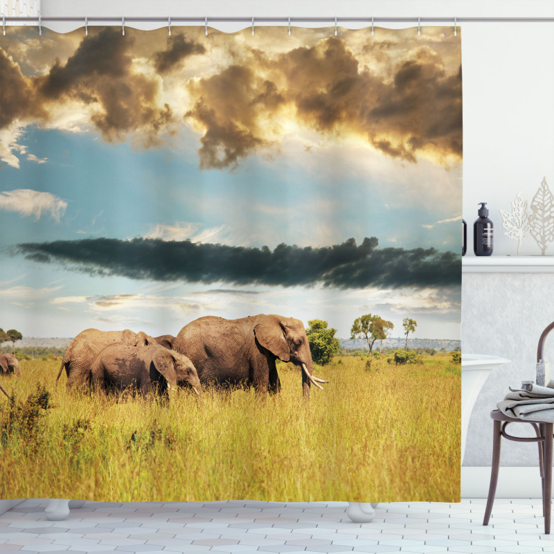 Elephant Family Photo Shower Curtain